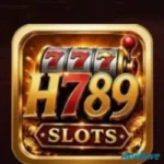 H789 Game
